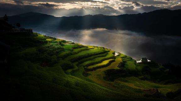 The morning of terraced fields