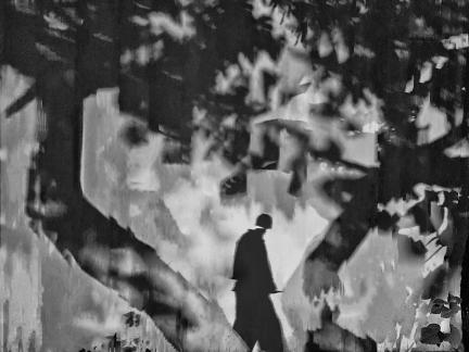 man in shadow of trees