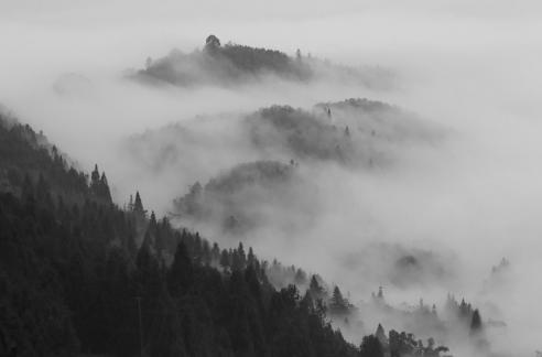 cloud and mist Runshan Forest