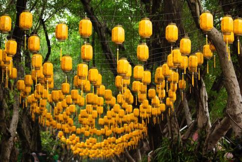Yellow lanterns