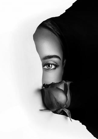 Lady and rose