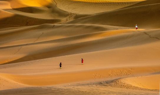 Desert Beauty