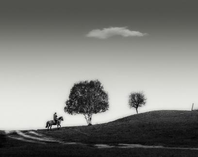 Imagination