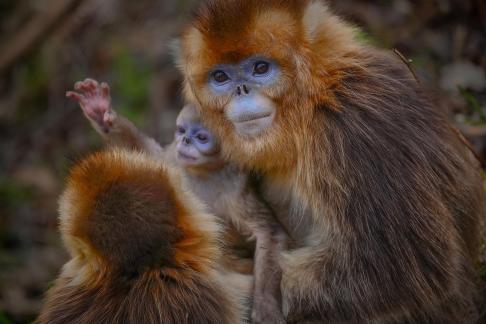 A family of three