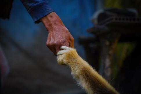 The power of holding hands