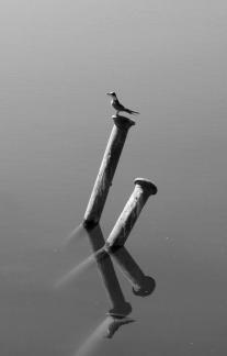 Rest before the flight 02