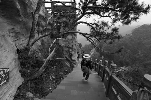 Mountain landscape 47