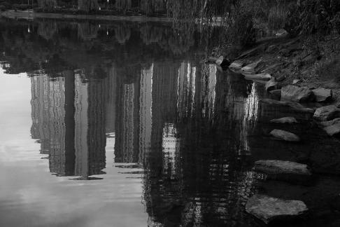 Silent by the lakeside 9