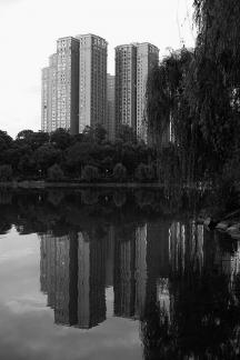 Silent by the lakeside 10