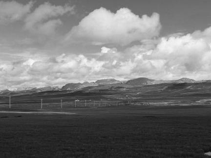 Qingqing Grassland 8