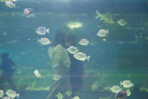 Blue border overlapping shadow 2