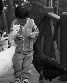 Play with the baby 4