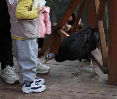 Play with the baby 1