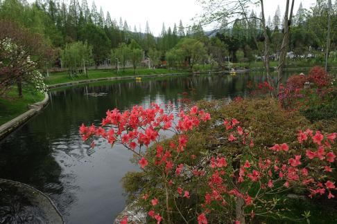 A pool of spring water