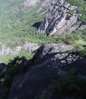 Green environment 19