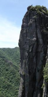 Green between cliffs 21