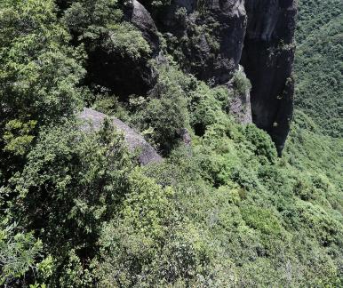 Green between cliffs 23