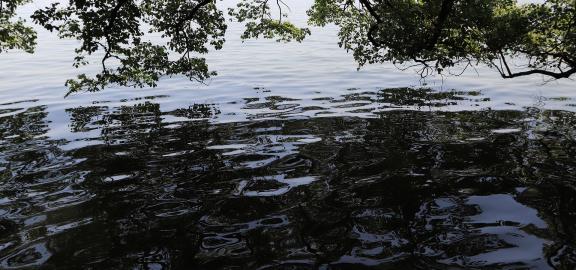 Blue Sky Clear Heart 27