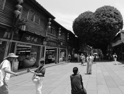 Watchman in front of the door 15