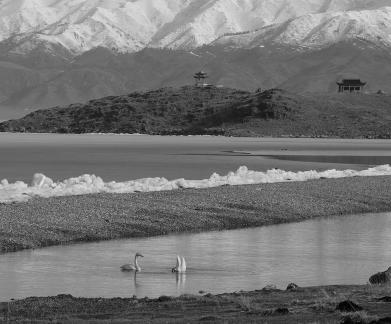 Seeing the snow capped mountains 1