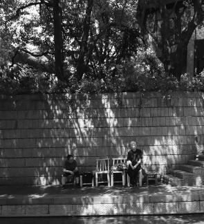 Under the shade of a tree 1