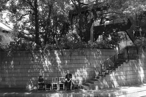 Under the shade of a tree 2