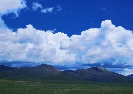 Yunmu Green Field 32