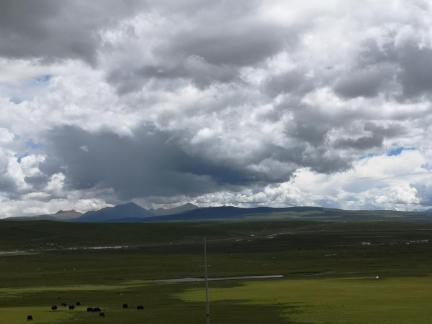 Yunmu Green Field 23