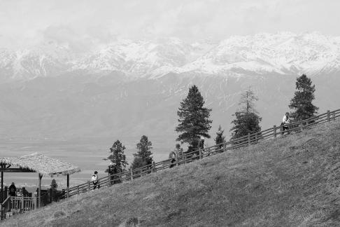 Snowy Ridge Pine Plains 20