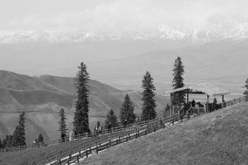 Snowy Ridge Pine Plains 21