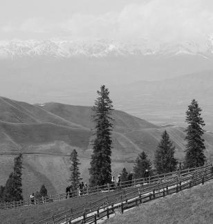 Snowy Ridge Pine Plains 22