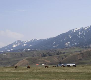 Dian Shang Pastoral Song 2