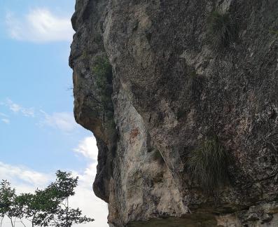 Green Wilderness and Tranquility 27