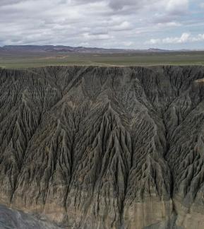 millions of gullies 31