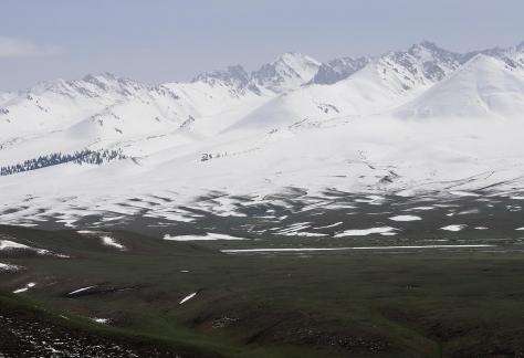 Pure Snow Mountain 4