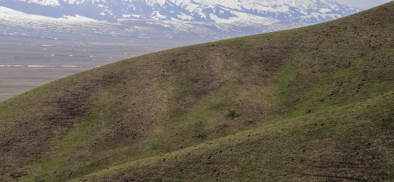 Dialogue of Mountains 2