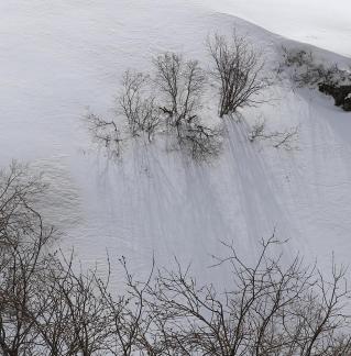 Empty field white painting 2