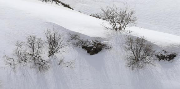 Empty field white painting 4