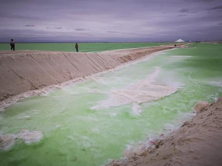 Green Salt Lake 14