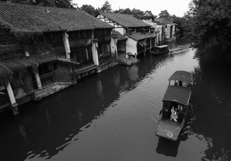 Singing on the green waves 14