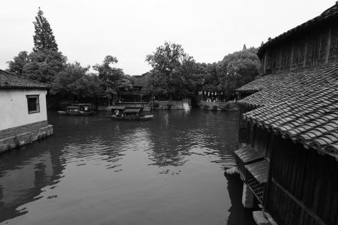 Singing on the green waves 15