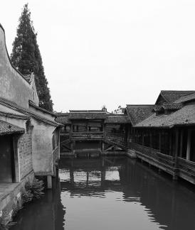 Singing on the green waves 16