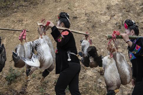 visit the parental home 4