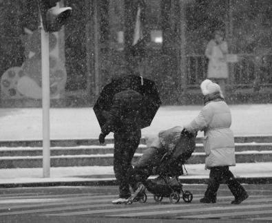 Snowflakes Dancing in the World 19