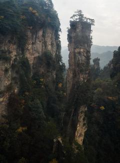 peak sequence 22
