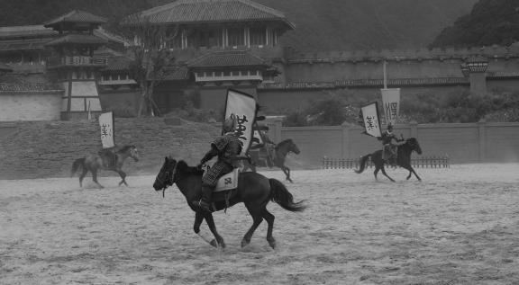Equestrian performance 27