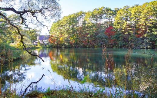 Autumn morning