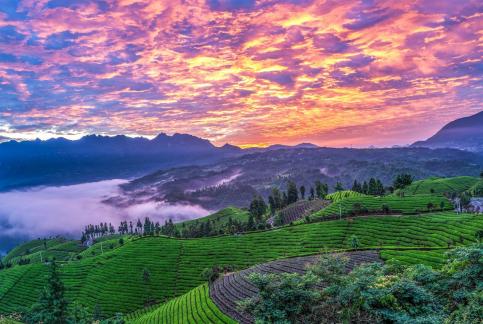 Colorful morning