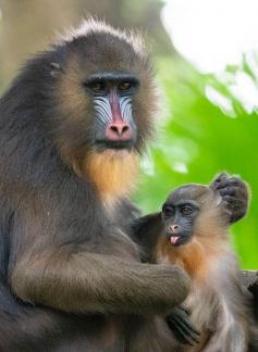 Parent child time