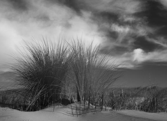 Sand dunes near the Atlantic
